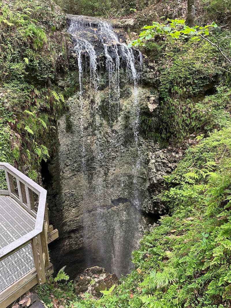 Falling Waters State Park, Chipley