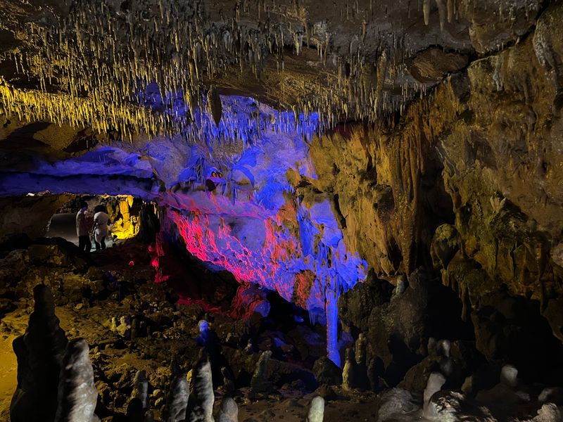 Florida Caverns State Park 