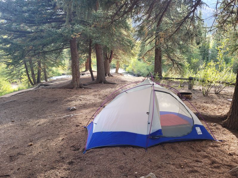 Families Appreciate The Low Drama Camping Setup Families Appreciate The Low Drama Camping Setup