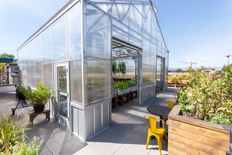 Families Can Turn Brunch Into A Tiny Field Trip