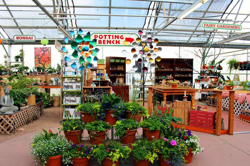 Families Couples And Solo Plant People All Fit Here