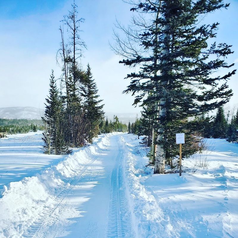 Final Verdict: Why March at Rocky Mountain Stables Is Worth Blocking Off Your Calendar