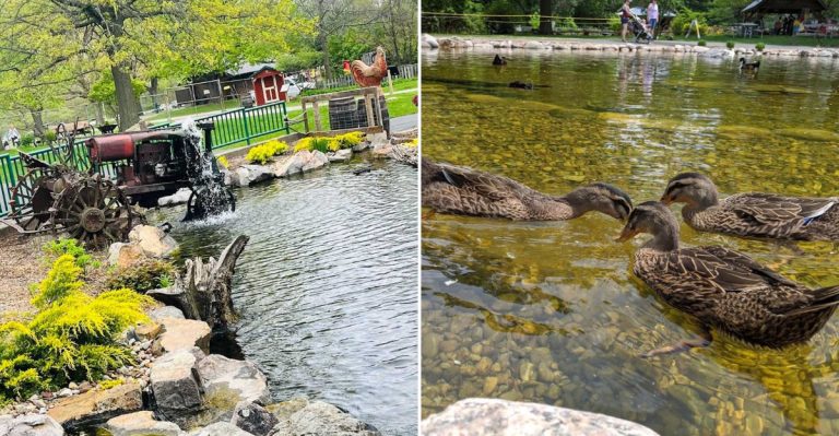 Families Will Love This Delightful Farm Park Destination In Illinois