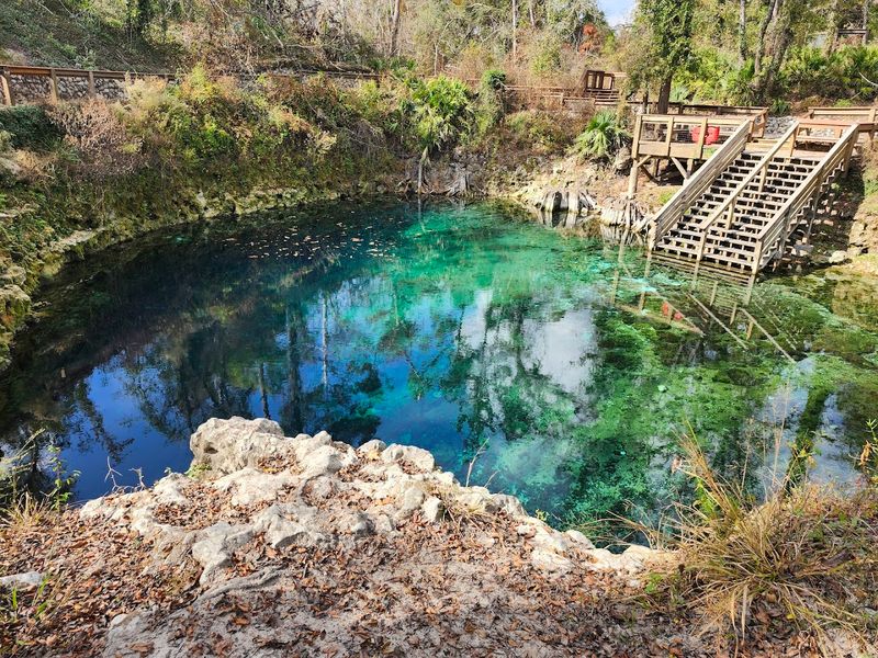 The Boardwalk And Park Grounds Are Beautifully Maintained