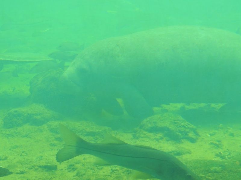 When To Go, What It Costs, And How To Glide Through The Day