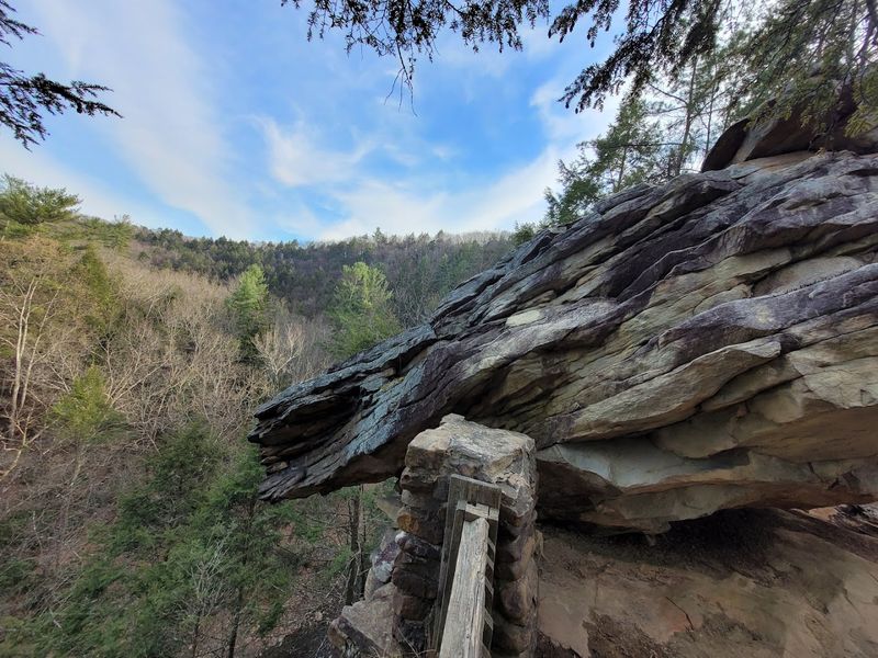 The View From The Top