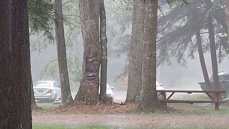 Camping Options at the Site