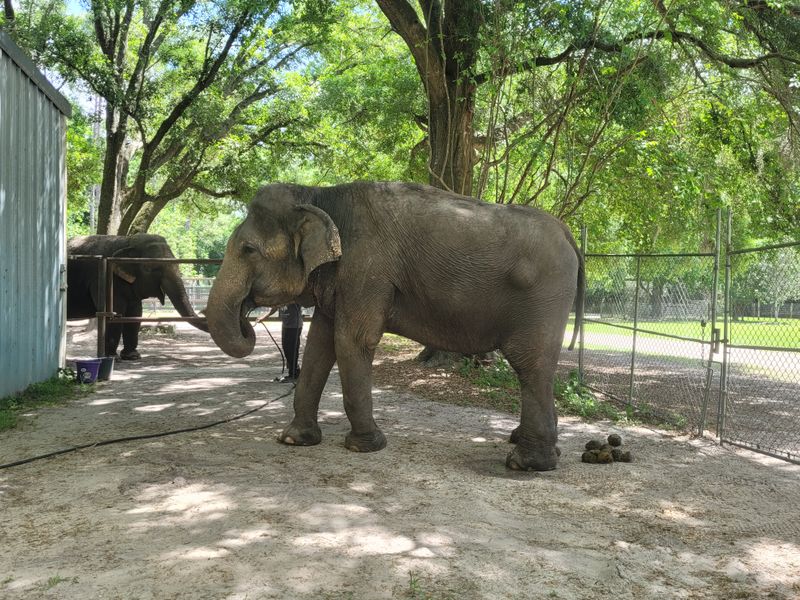 Supporting Conservation Through Your Visit