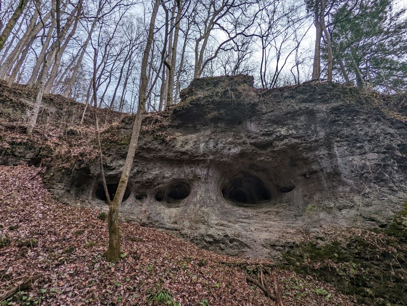 Supporting Conservation Through Your Visit