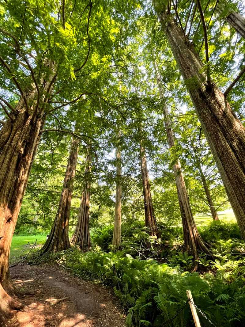 Wedding Venue Magic in Natural Surroundings