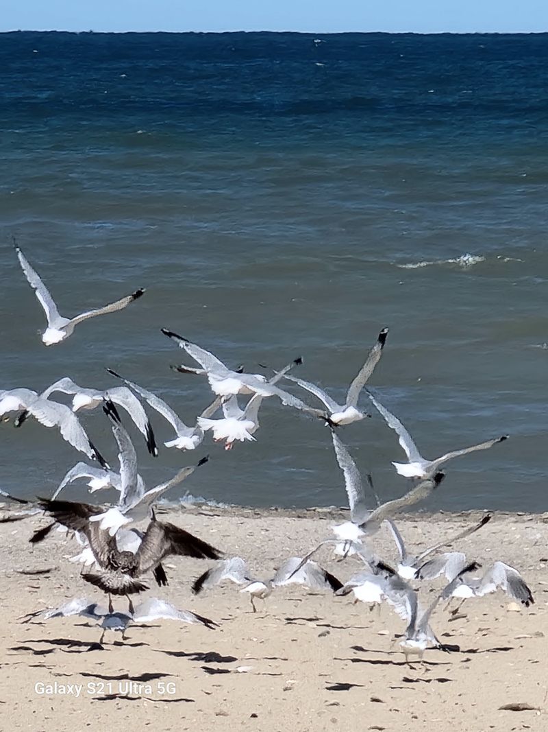 Seasonal Changes and Best Times to Visit