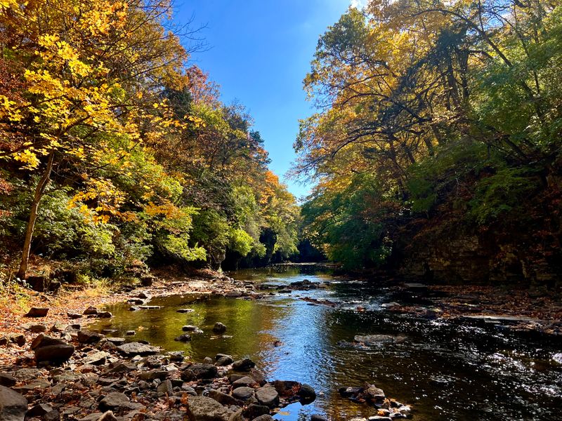 Practical Tips For Your Visit