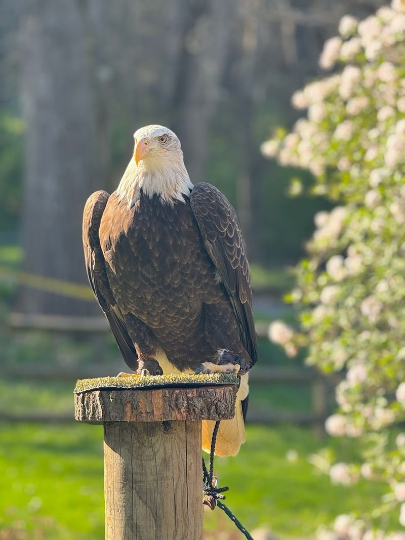 Seasonal Visits and Special Events