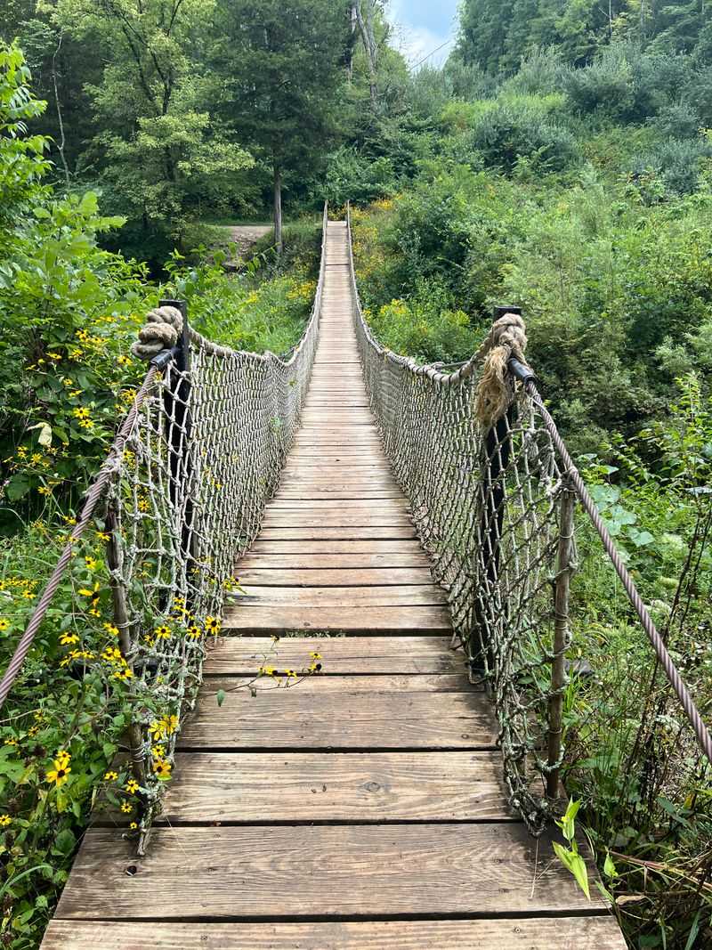 The Swinging Bridge Option