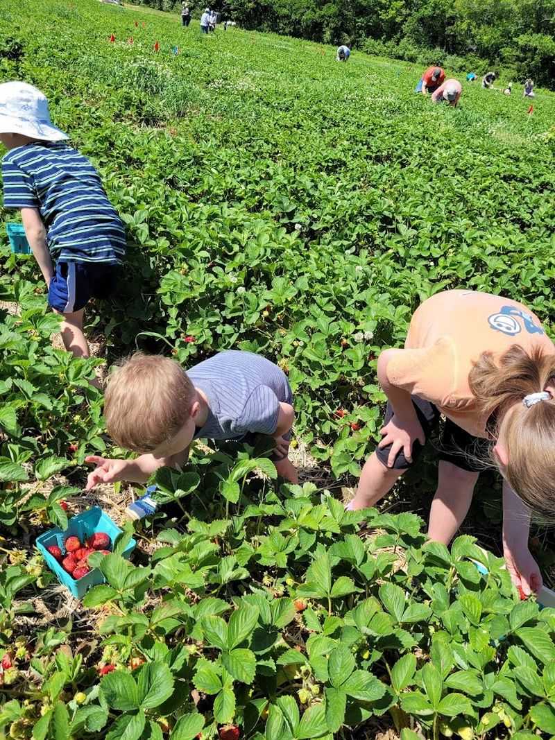 Family-Friendly From Start To Finish