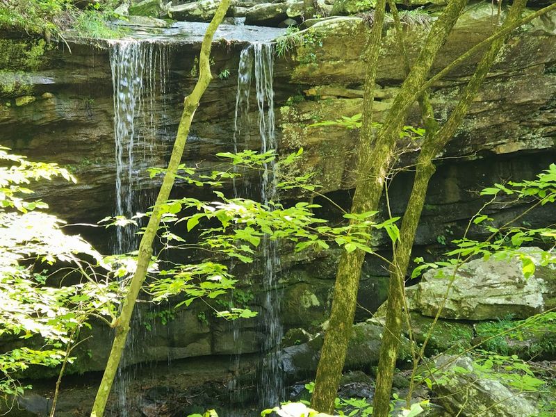 Why It Belongs On Every Nature Lover’s Bucket List