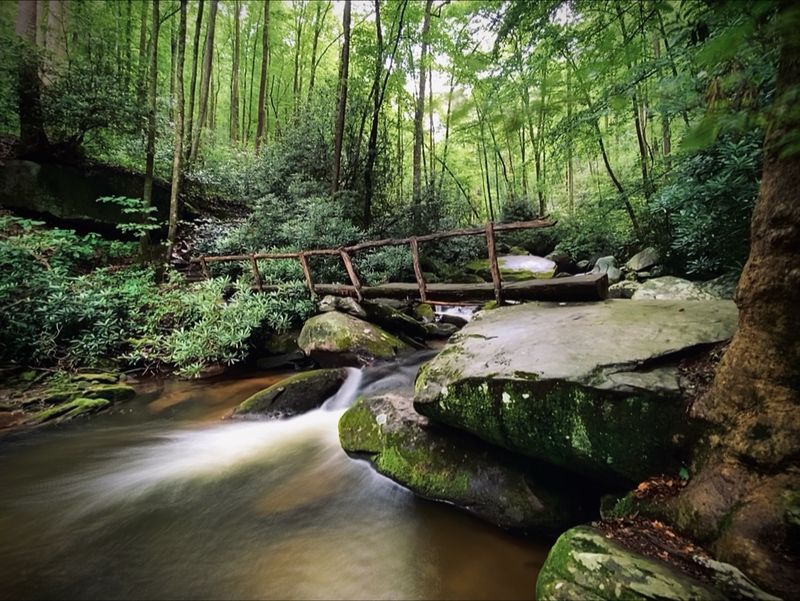 Family Hiking And What To Expect With Kids Family Hiking And What To Expect With Kids