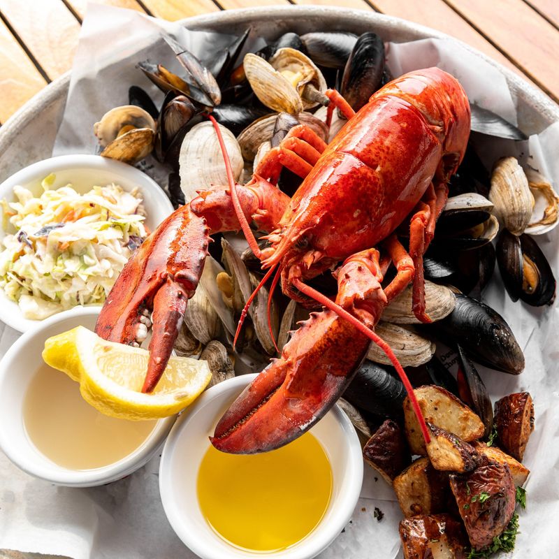 Stuffies That Set the Standard