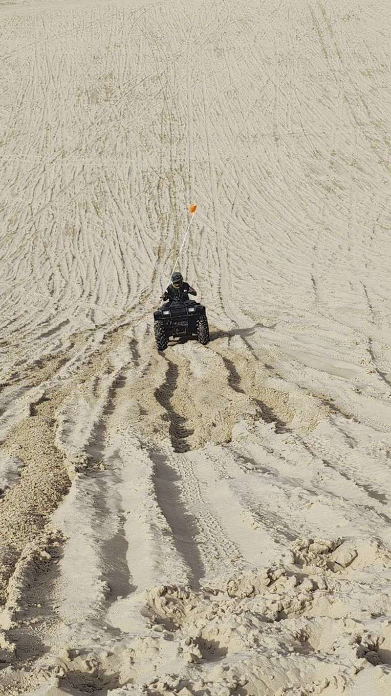 Weather Visibility And The Oddities