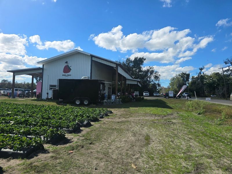 Berry Sweet Acres, Plant City