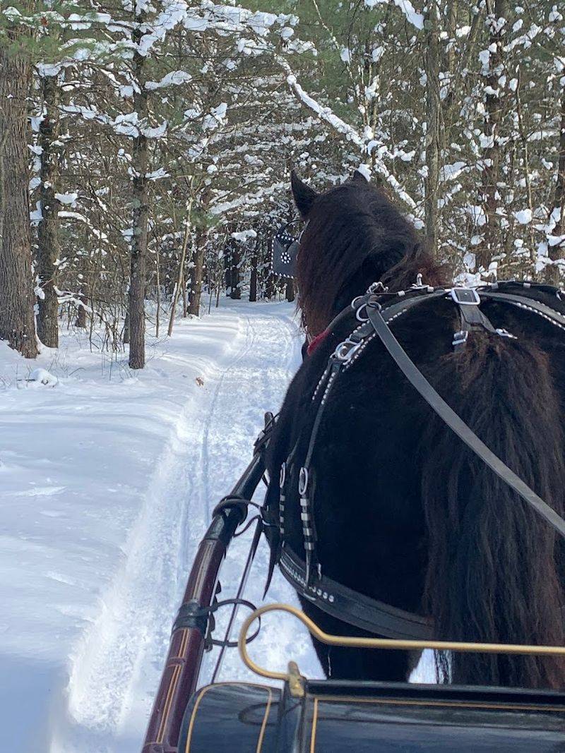 Wild West Ranch Horseback Riding, Fennville