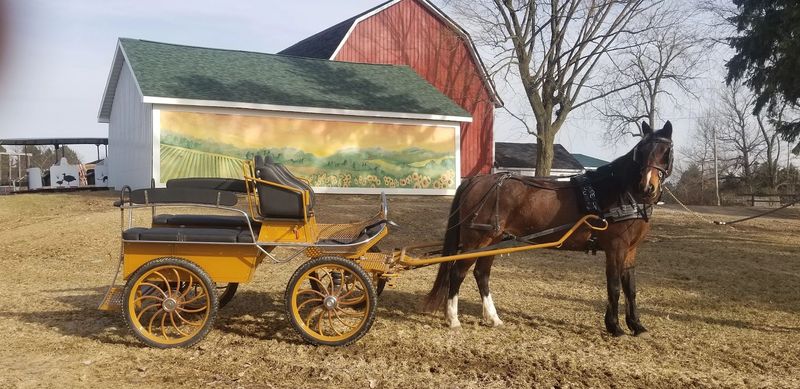 White Horse Inn Holiday Carriage Rides, Metamora
