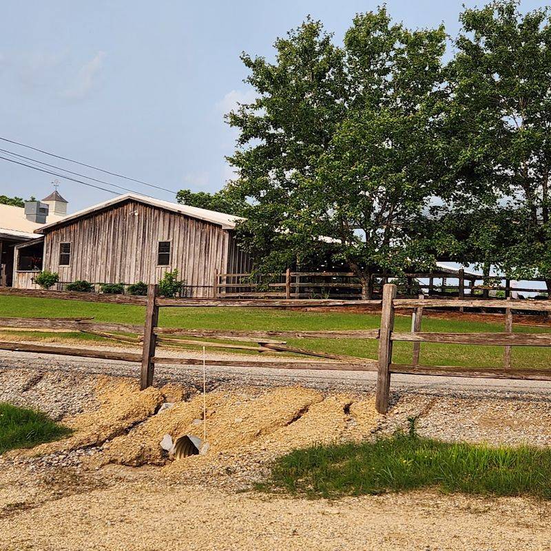 Farm Activities That Turn Brunch Into An All-Morning Adventure