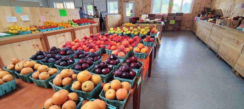 Farm Dairy And Wholesome Meats Worth Bringing A Cooler For