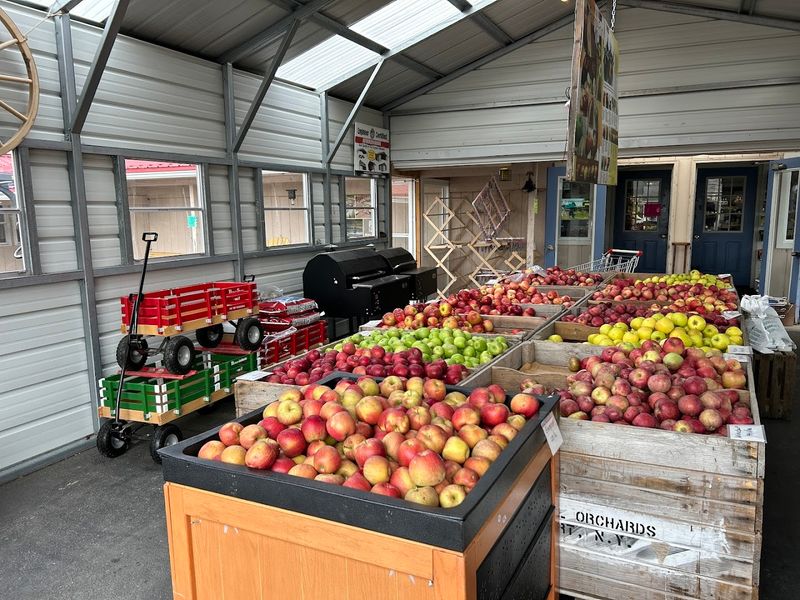 Farm Eggs, Fresh Produce, And Seasonal Finds Farm Eggs, Fresh Produce, And Seasonal Finds