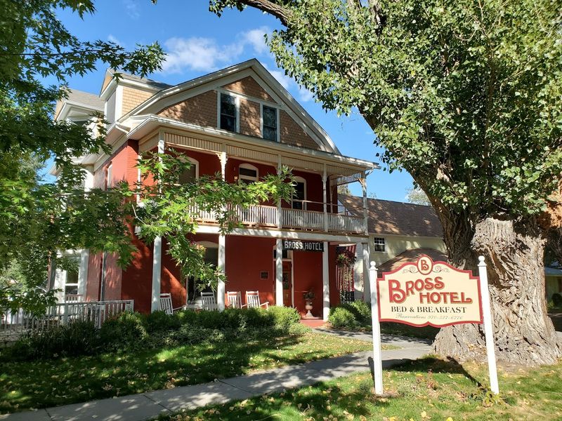 Orchard-to-Table: Stone Fruit Season in Paonia