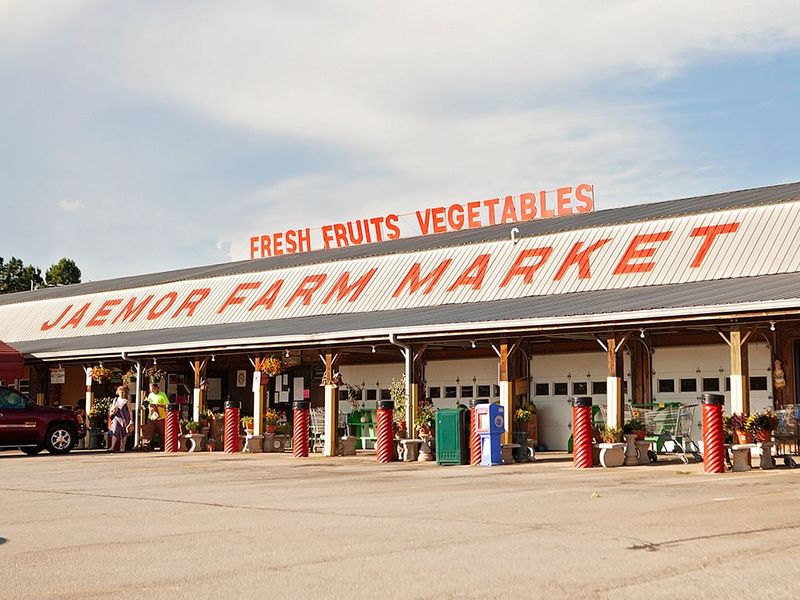 Farm-Fresh Fuel For The Whole Adventure Farm-Fresh Fuel For The Whole Adventure