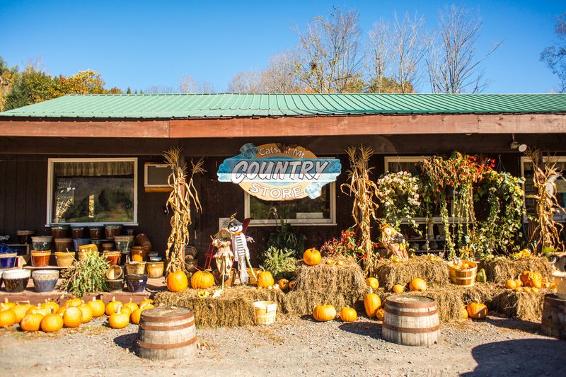 Farm-Fresh Ingredients That You Can Actually Taste