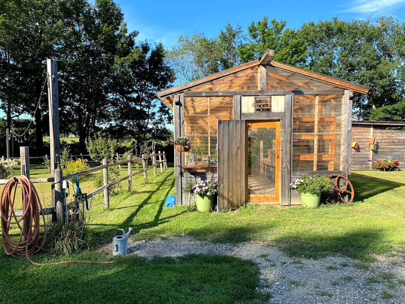 Farm Fresh Treats Beyond The Apples