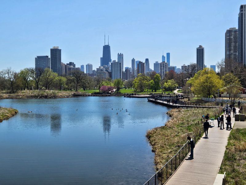 Where Wildlife Meets Architecture