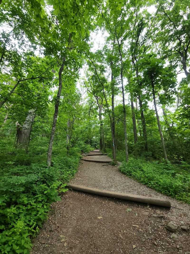 Farm Museum Trail