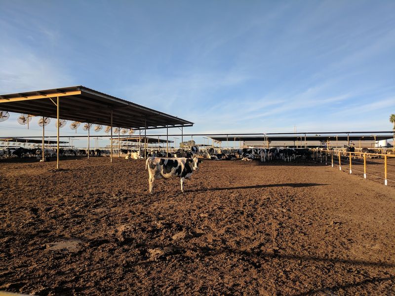 Farm Store Treats Worth Saving Room For