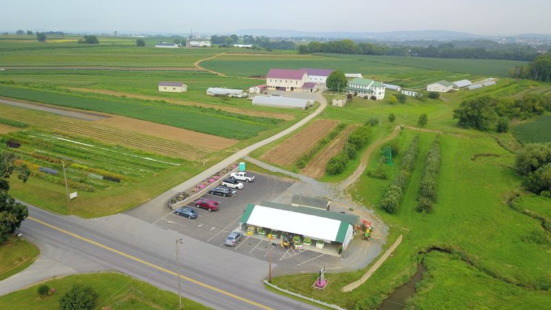 Farm Wagon Produce
