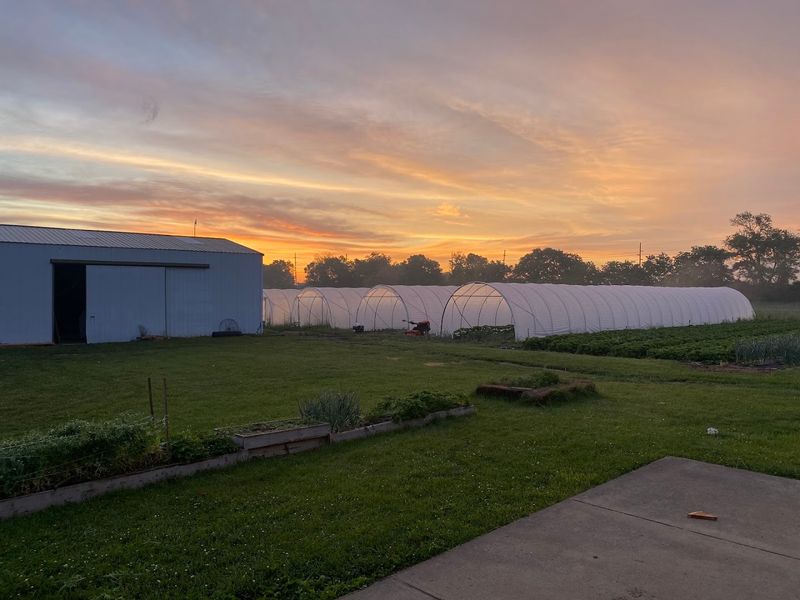Farm on Central, Carlisle