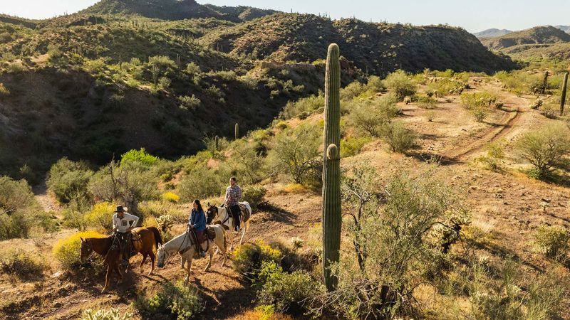 Farm-to-Table Dining From Three Acres Of Desert Soil