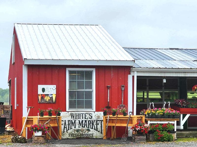 Farmer White’s Farmer White’s