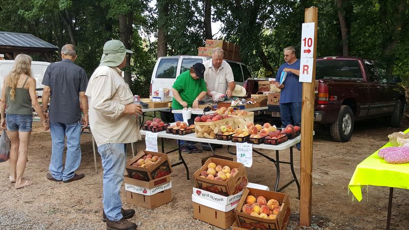 Farmers Market Flea Market