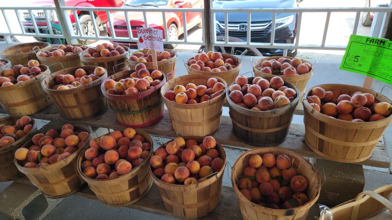 Peak-Season Peaches By The Crate