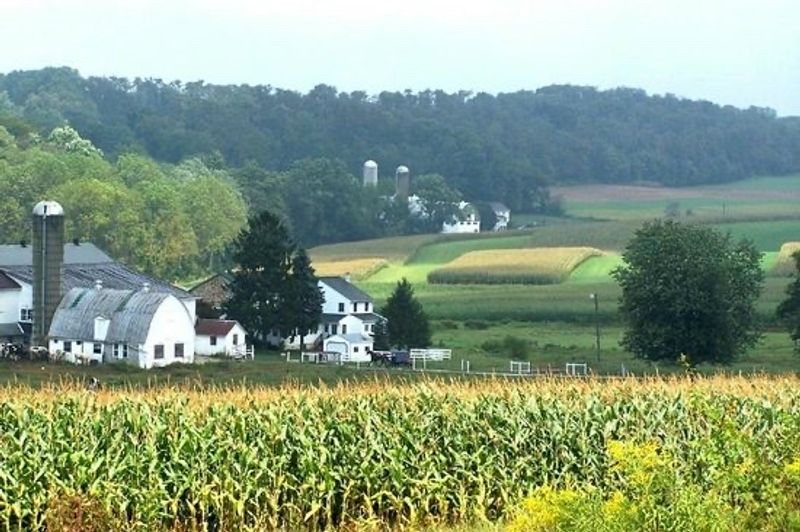 Farmland That Feeds Far Beyond The County Farmland That Feeds Far Beyond The County