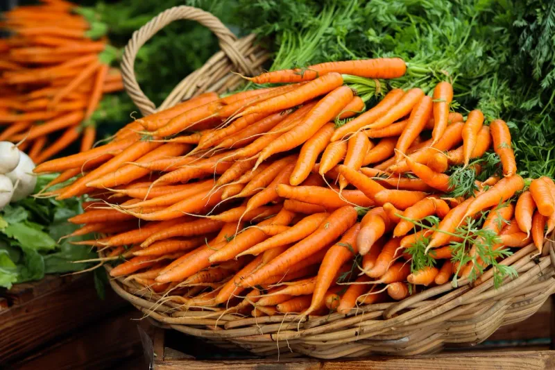 Carrots: Crunch Your Way to Vitamin A