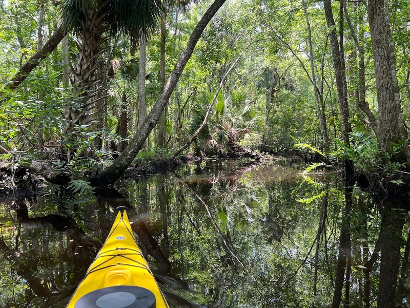 Faver-Dykes State Park Campground, St. Augustine