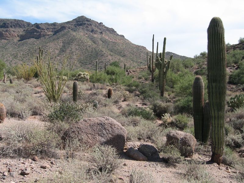 Wind Cave Trail, Usery Mountain Regional Park