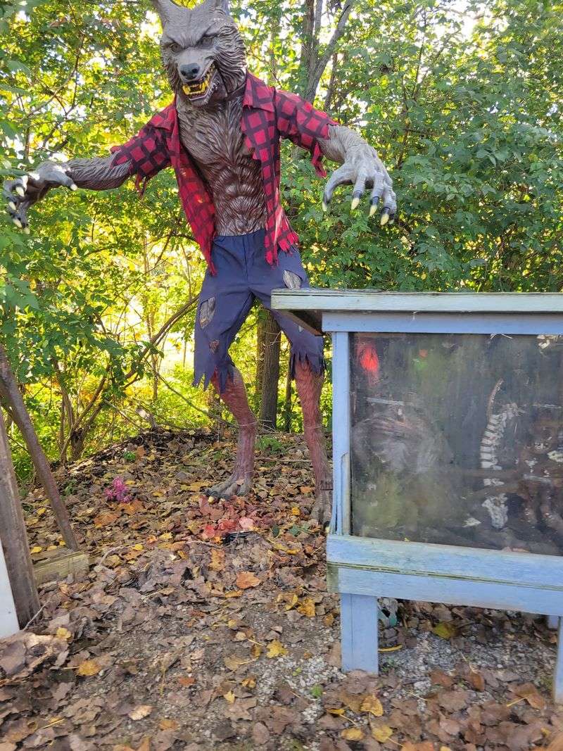 Fear Really Did Leave The Building This Year