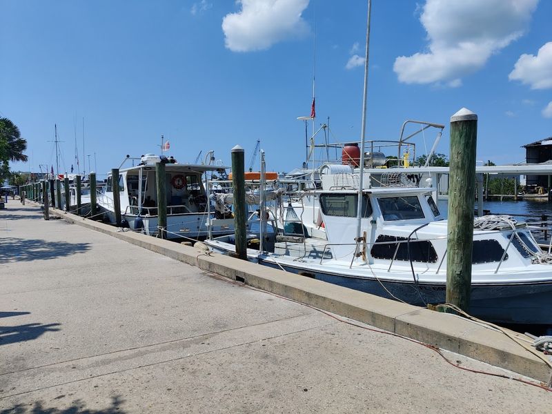 Boat Tours And River Breezes: Anclote To Gulf