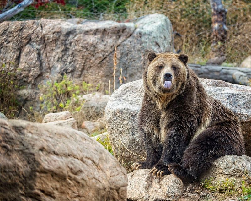 Over 700 Animals and Exhibits Designed With Real Thought