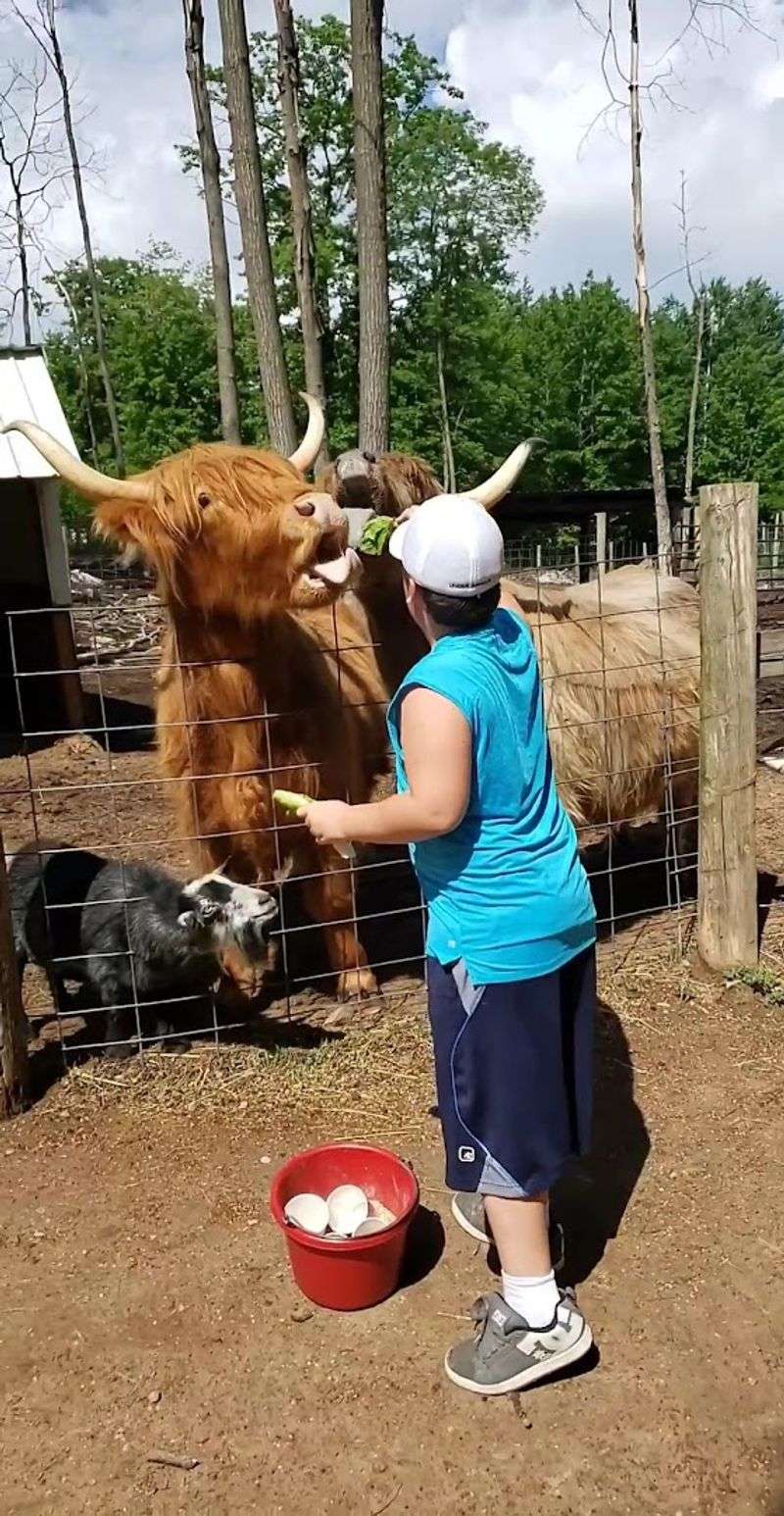 Guided Moments With Bud And Carrie